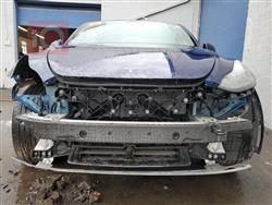 تسلا موديل Y